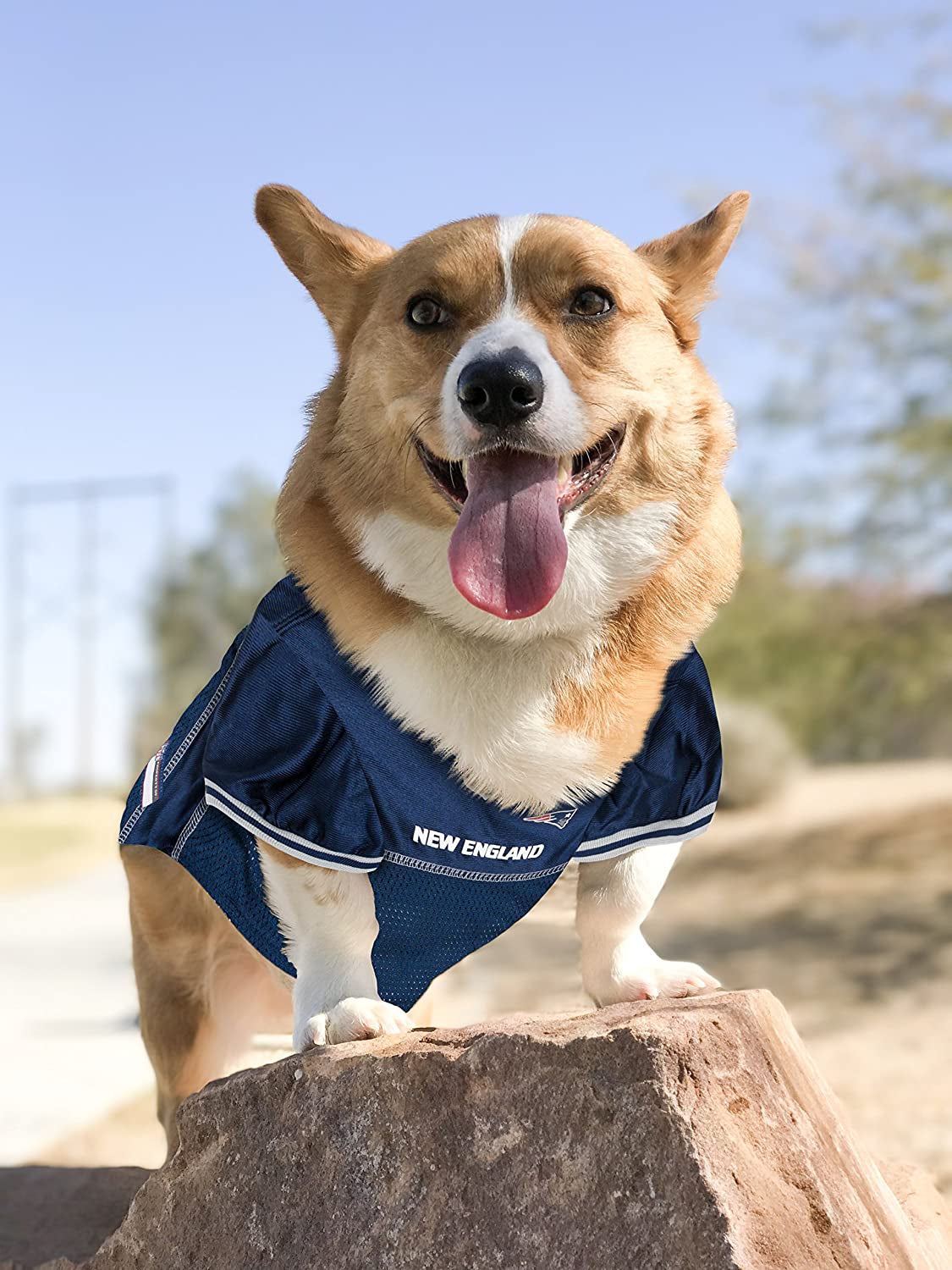 NFL New England Patriots Dog Jersey, Xxx-Large, Officially Licensed